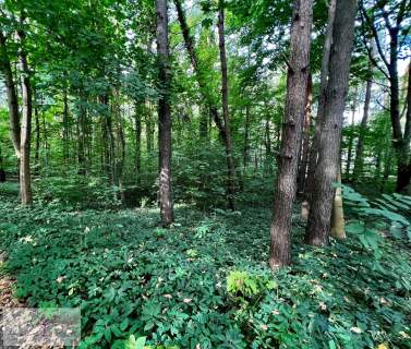Wyjątkowy teren inwestycyjno-budowlany - Justynów