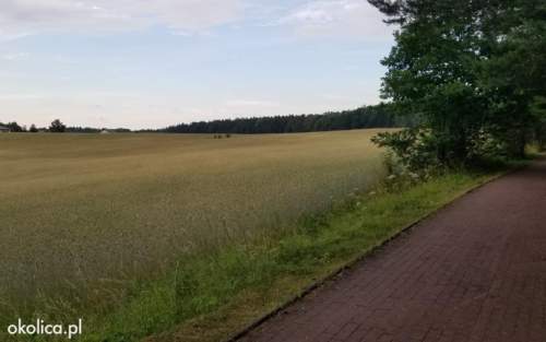 Przy samym LESIE - NAD JEZIOREM 500 m - Skarszewy - GDAŃSK
