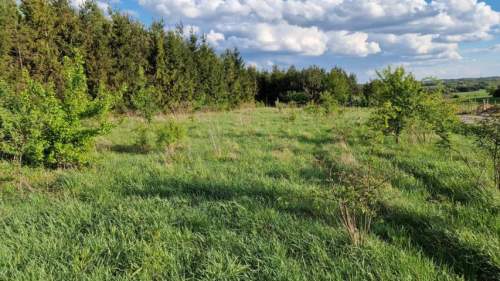 Działka budowlana na sprzedaż, 1484 m2, Sadowie