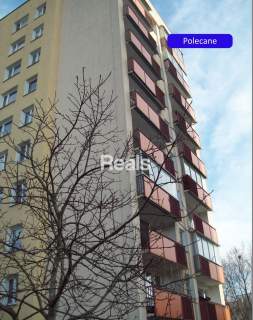 Z piwnicą