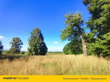 3,63 ha - Dom 264 m stodoła, Woźniki