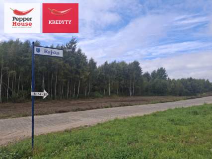 Twoja działka Kaszuby - 40 minut od Trójmiasta