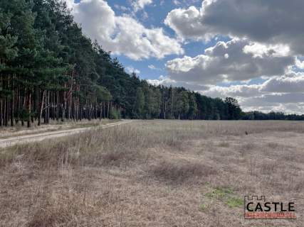 Działka budowlana blisko lasu, Trzciel/Jasieniec