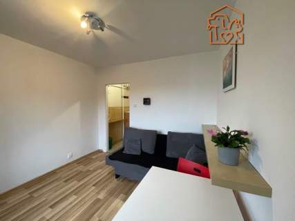 Słoneczna kawalerka, pet friendly   Spadzista