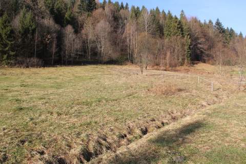 Działka budowlano- rolna w paśmie Pienin Grywałd
