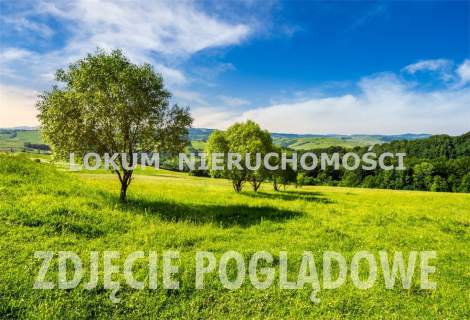 Działka inwestycyjna produkcyjno-usługowa