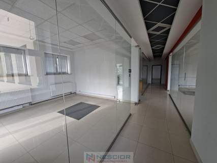 Lokal użytkowy 296,55 m   ul. Chrobrego 17