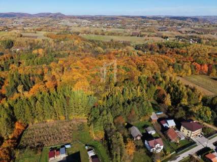 NA SPRZEDAŻ LAS BUKOWY 68,58 AR - GLINIK ŚREDNI, DOGODNY DOJAZD