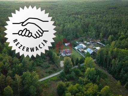 DOM W LESIE NA DZIAŁCE 1,45 HA - Rezerwacja