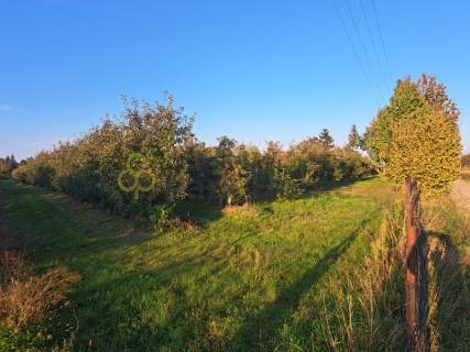 Działka 3100 m z WZ - cisza i prywatność