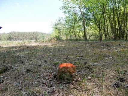 Działka budowlana 560m2 - Anastazewo