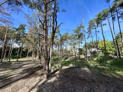 2 Pok Obok Lasu Wykończone Cicho Od Zaraz