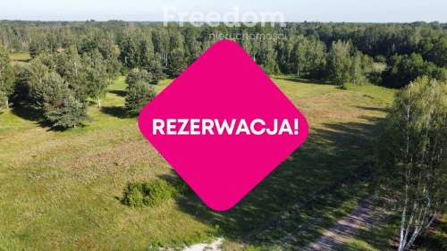 Stare Budy Radziejowskie- działka z prądem.