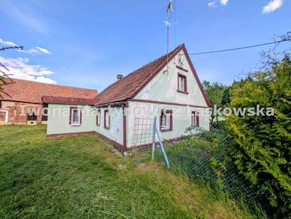 Siedlisko - 1,18 ha działka, Boraszyn, Gmina Wołów