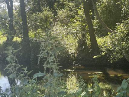 Działka rolna na sprzedaż, 18500 m2, Jaracz