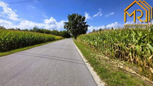 Dom parterowy z antresolą Wierzchosławice, 13 km