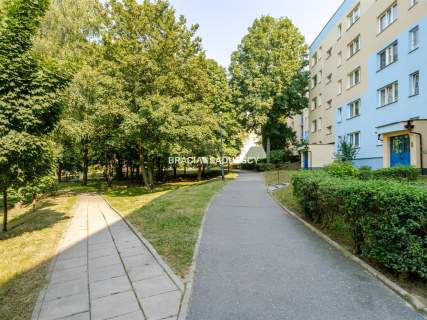 3 osobne pokoje / blisko parku / przestronne / MPK
