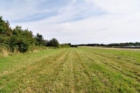 Działka pod Kielcami z MPZP, 9051 m2, Radlin,Górno