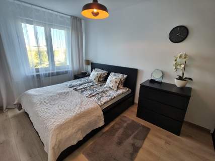Śródmieście 2 pok. mieszk po kap.remoncie za 2950