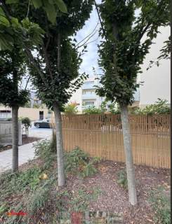 2 pokoje 43 m duża loggia 7,35 m Grunwald