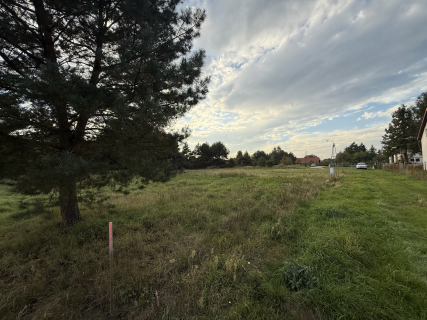 Zielona enklawa pod Wrocławiem, 1000 m, Prąd, MPZP