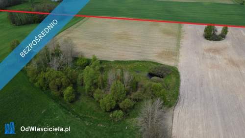 11 ha w jednym kawałku foremna działka 8 km od Lipna