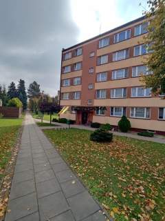 Na sprzedaż mieszkanie 3-pokojowe w Żabnie-47,72m2