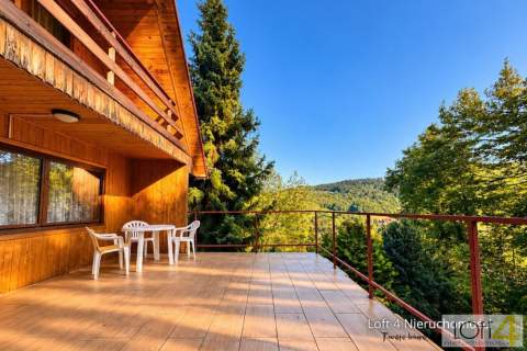 Drewniany dom z widokiem na Dunajec