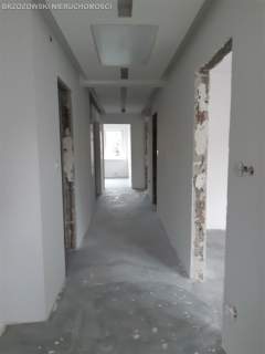 Służew, Wita Stwosza, 497 m2, działka 500 m2