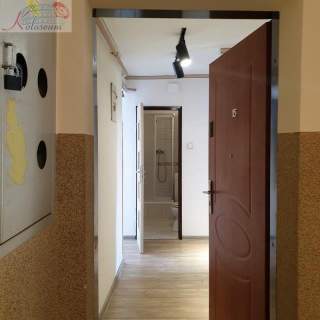 Mieszkanie na sprzedaż, 49 m2, Nowy Sącz