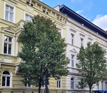 Pierwszy najem 2 pokoje z balkonem w centrum