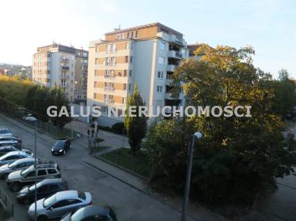 Szafrana osiedle FI - 3 pokoje do wynajęcia