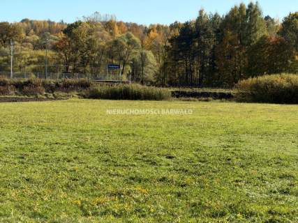 Działka inwestycyjna na sprzedaż, 10008 m2, Kalwaria Zebrzydowska
