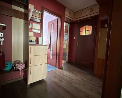 Bezczynszowe parter duży balkon piwnica