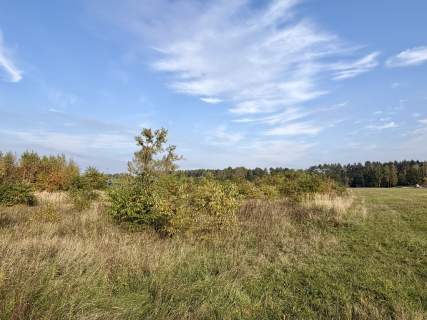 Miękowo Duża działka przy lesie 3 980 m 796 000 zł