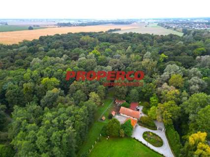 Pałac z XIX wieku 850m2, park i sad 25 ha, Kamień