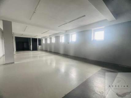Lokal ekspozycyjny w centrum do 280m2