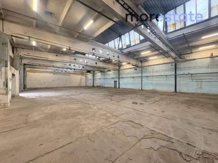 Hala 650 m2 / Rybitwy / możliwość podziału hali