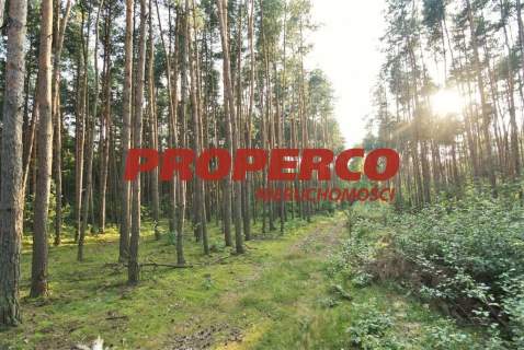 Działka 35 000 m2, Mościska, Grodzisk