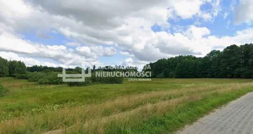 Działka 10.800m2 z WZ, Łapino Kartuskie