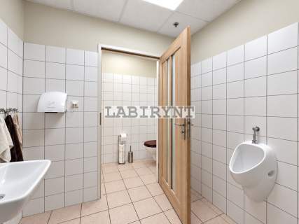 Lokal 240m2, Al. N.M.P. po remoncie, winda