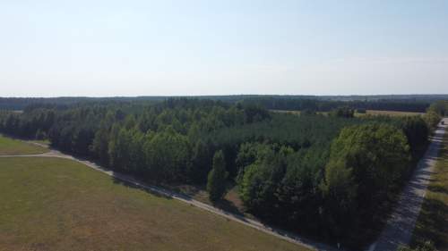 Dom na dużej działce w Świesielicach gm. Ciepielów