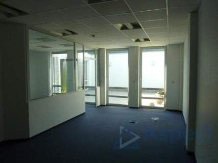 Biuro do wynajęcia, 321 m2, Szczecin