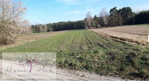 Działka letniskowa, rekreacyjna ok. Lutomierska