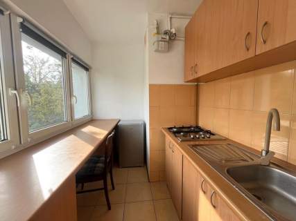 Drewnowska 130, Polesie, kawalerka pet friendly