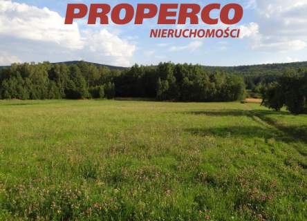 Działka 35 500 m2, Zagórze, gm. Łączna