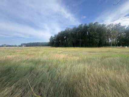 działka budowalna Wierzbiczany