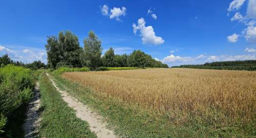 Karczmiska Drugie - ponad 33ar działki rolnej