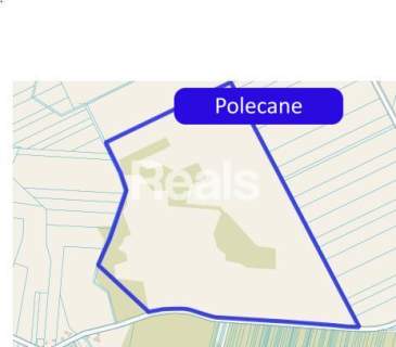 Duża działka rolna 51 ha