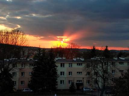 Wieliczka przestronne pokoje, cegła, wysoki sufit, zieleń